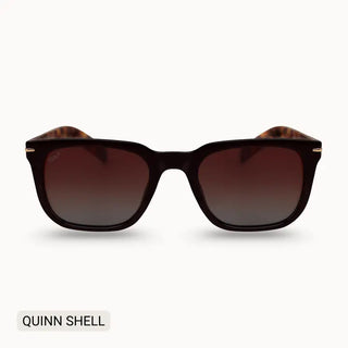 Quinn Shell sunglasses with dark brown square frames, tortoise temples, gold hardware accents, and gradient brown lenses.