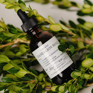 Amber glass dropper bottle of Organic Dandelion Root tincture by Evergreen Apothecary, nestled among fresh green boxwood leav