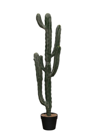 Faux Myrtle Cactus in Plastic Pot with Pebbles