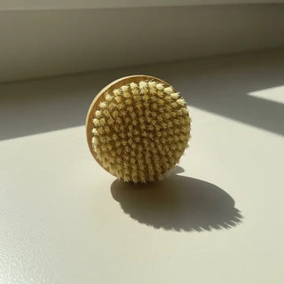 Round natural wooden dry body brush with stiff sisal bristles, photographed in warm sunlight on white surface.