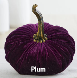 Small plum-colored velvet pumpkin with ribbed texture and natural dried gourd stem, fall decor.