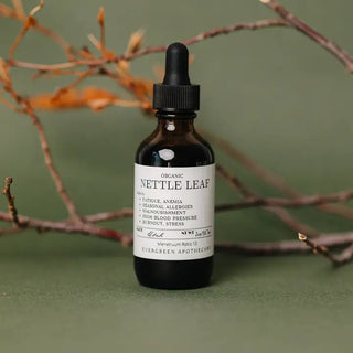 Amber glass dropper bottle of Organic Nettle Leaf tincture by Evergreen Apothecary, displayed against green background with d